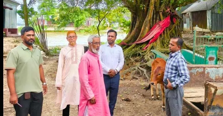 ছবিঃ সংগৃহীত