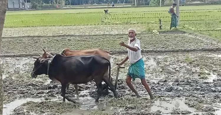 ছবিঃ সংগৃহীত