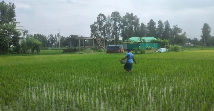 ছবিঃ সংগৃহীত