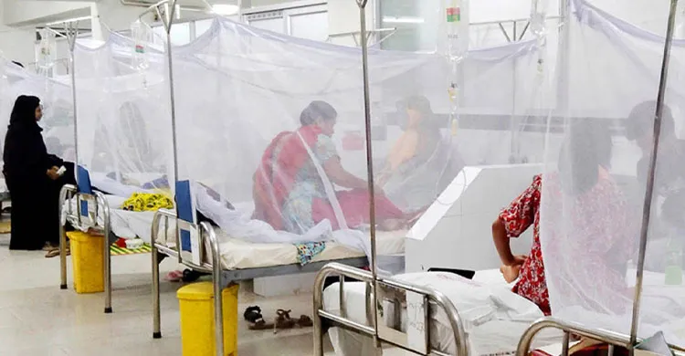 ডেঙ্গুতে আরও ২ জনের মৃত্যু, হাসপাতালে ভর্তি ৯৯৪