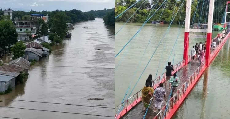 ছবিঃ সংগৃহীত