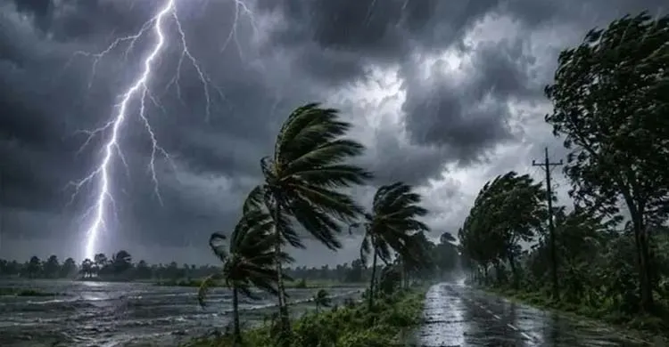 ছবিঃ সংগৃহীত