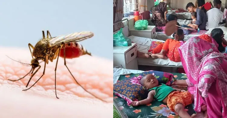 হাম-ডেঙ্গুতে ১,০৬০ মৃত্যু, ২৪ ঘণ্টায় আরও ৭ জনের প্রাণহানি