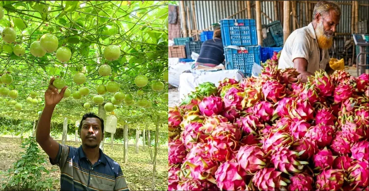 ছবিঃ সংগৃহীত