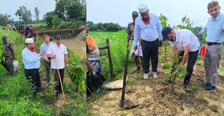 নওগাঁয় ২০ হাজার চারা রোপণ, সবুজায়নের গুরুত্ব তুলে ধরলেন পরিবেশ প্রতিমন্ত্রী
