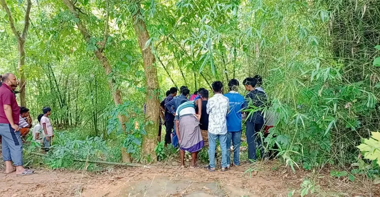 ছবিঃ সংগৃহীত