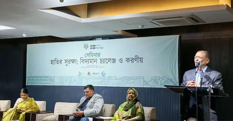 হাতির চলাচলে সীমান্তের বেড়া খুলতে ভারতকে অনুরোধ করবে সরকার