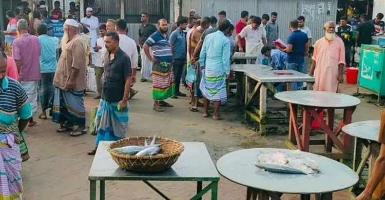 রাজবাড়ীর পদ্মায় ভরা মৌসুমেও দেখা নেই ইলিশের