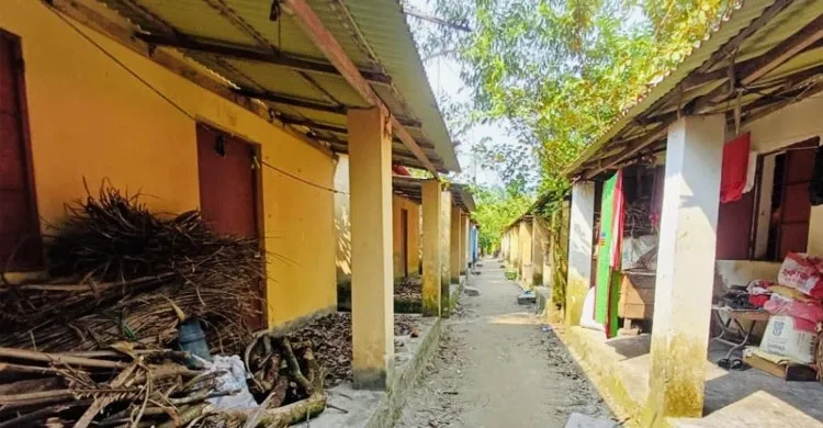 রায়পুরে আশ্রয়ণ প্রকল্পের ঘরে জলাবদ্ধতা, ১৫২ ঘরে তালা; নষ্ট পানির কল-টয়লেট; নিরাপত্তা নিয়েও শঙ্কা