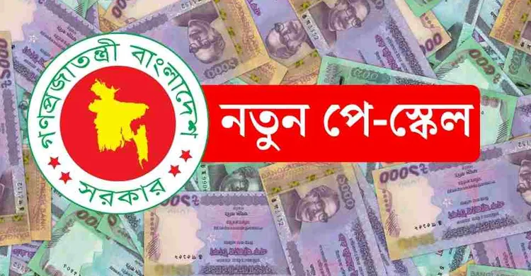 ছবিঃ সংগৃহীত