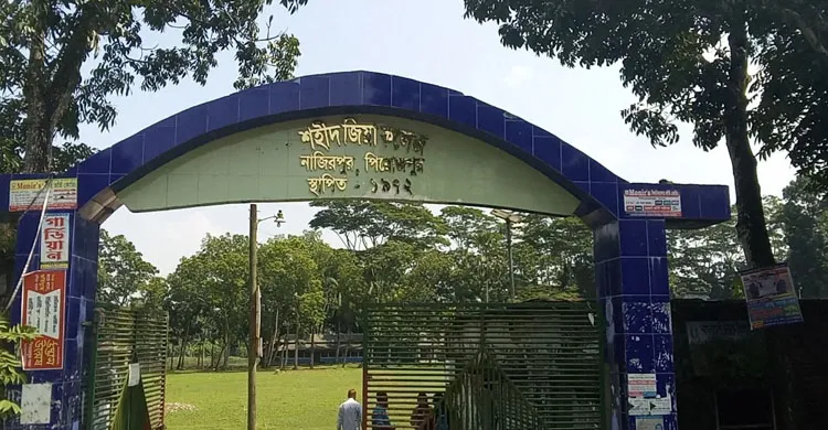 নিয়োগ জালিয়াতি ও রাষ্ট্রীয় অর্থ হরিলুট: পিরোজপুরের শহীদ জিয়া কলেজে ১০ বছর ধরে ভুয়া শিক্ষকদের রাজত্ব