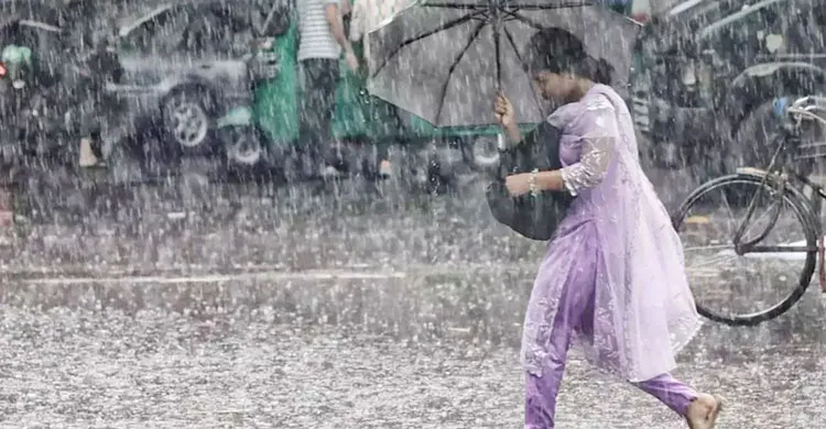 ছবিঃ সংগৃহীত
