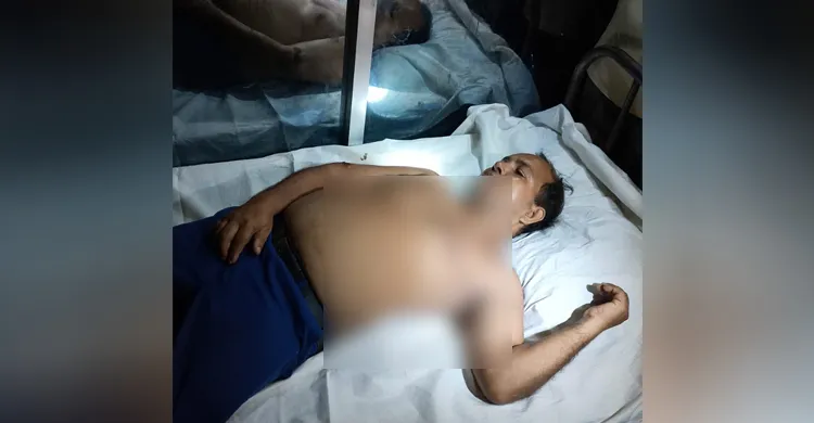 ছবিঃ সংগৃহীত