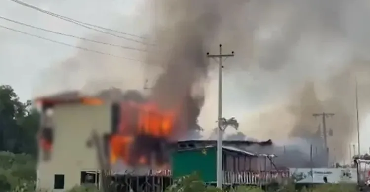 ছবিঃ সংগৃহীত