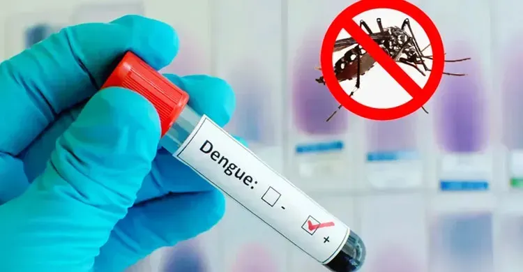 ২৪ ঘণ্টায় ডেঙ্গুতে আরো ৫ জনের মৃত্যু