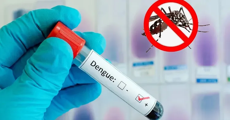 ডেঙ্গুতে আরও ৭ জনের মৃত্যু