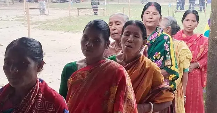 ছবিঃ সংগৃহীত