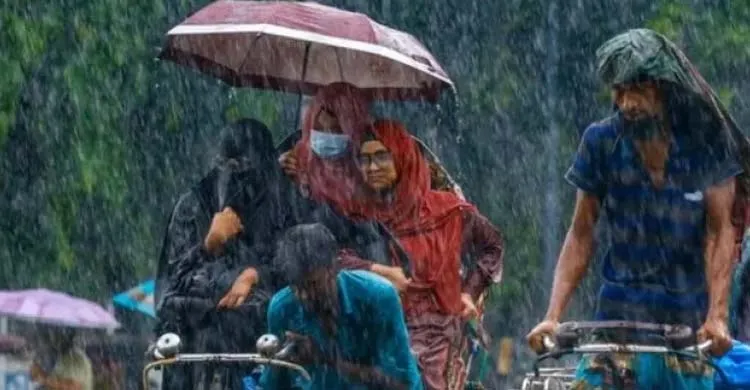 ছবিঃ সংগৃহীত